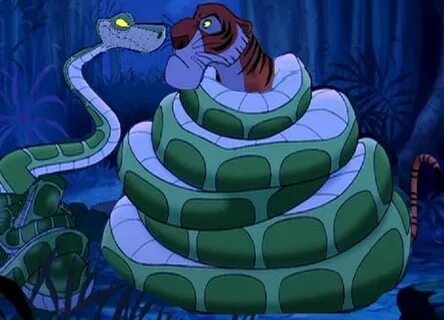 Python kaa