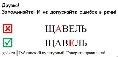 Какой ударный звук в слове щавель