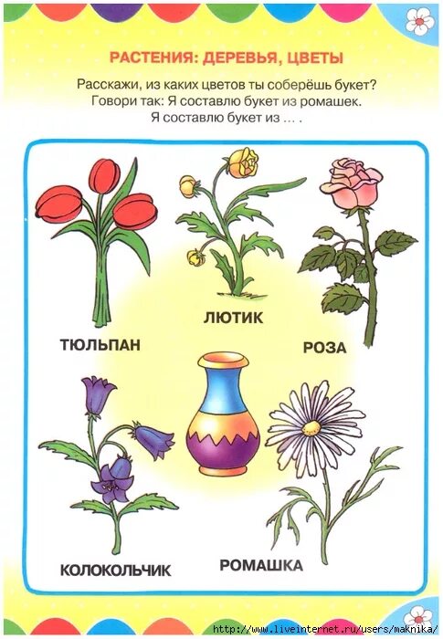 Занятия для детей растения