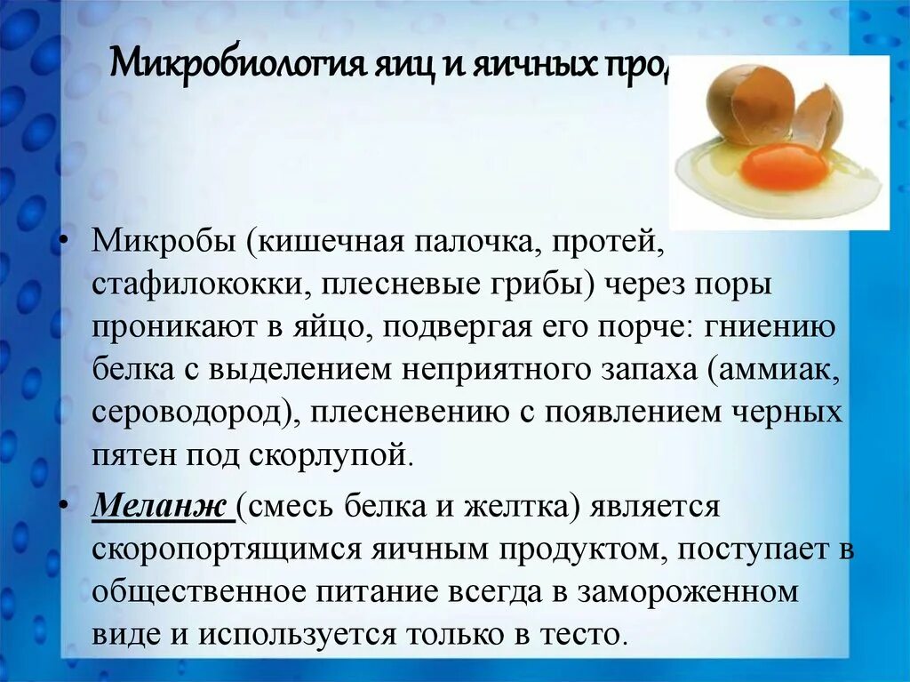 Грибы вызывающие порчу продуктов питания. Микрофлора яиц и яичных продуктов. Микробиология яиц. Микробиология яичных продуктов. Микробиология пищевых жиров, яиц и яичных продуктов..