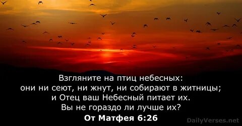 Ни собрала
