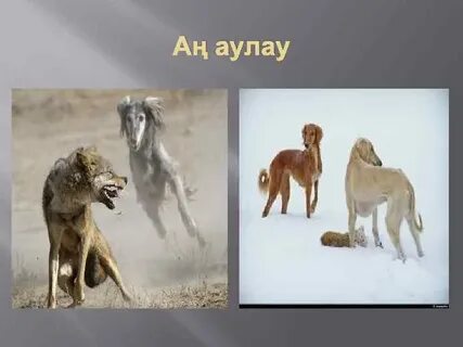 Орыс порно порно