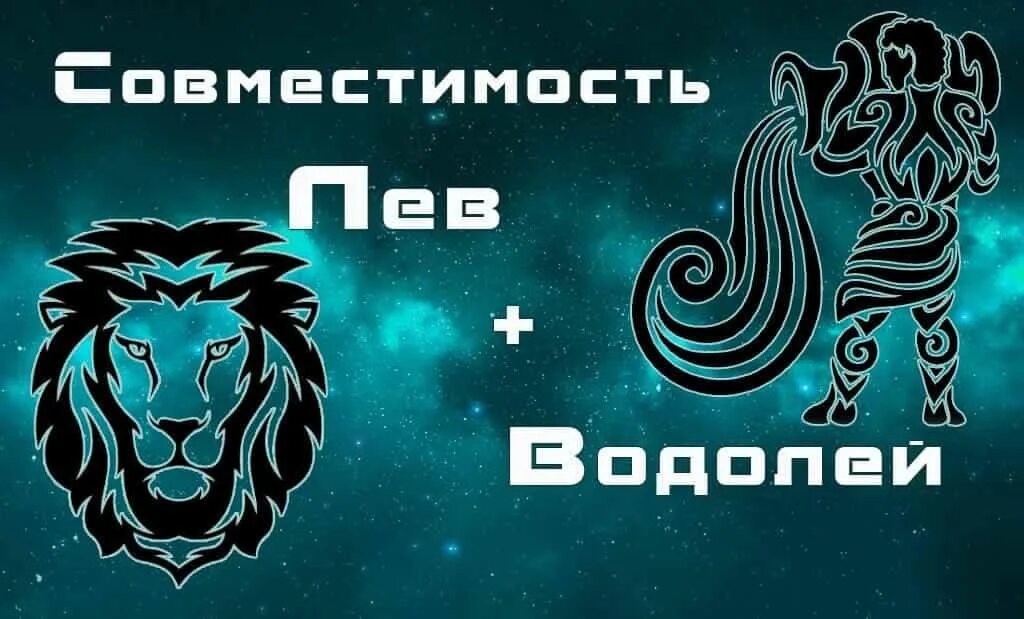 Совместимость львов и скорпионов. Лев и Водолей совместимость. Тигр Водолей. Лев и Водолей любовь. Союз Льва и Водолея.