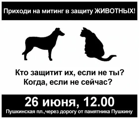 Девиз животных. Лозунги в защиту животных. слоган о защите животных. девиз про защиту животных. митинги по защите животных.