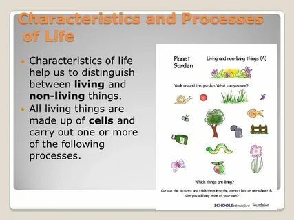 Life processes