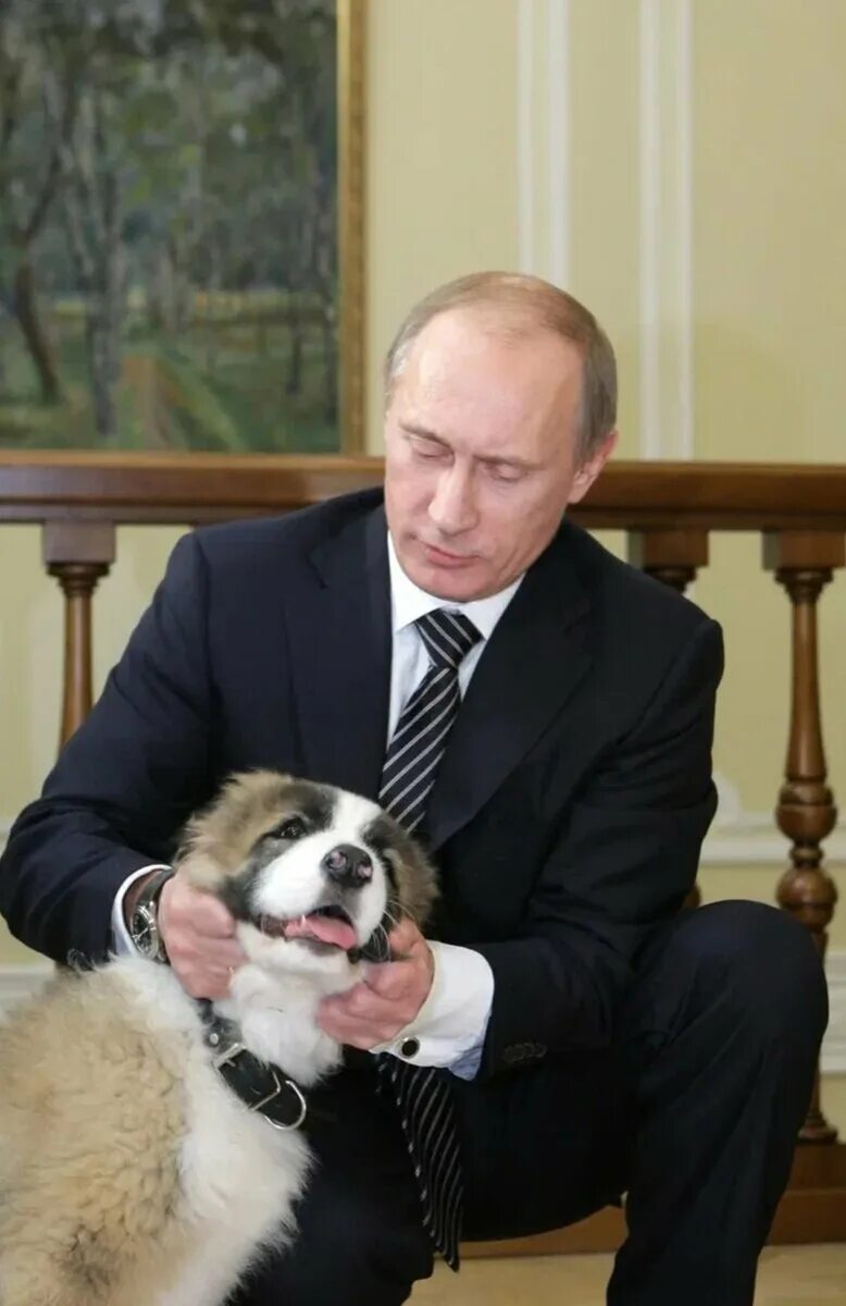 Каких собак подарили