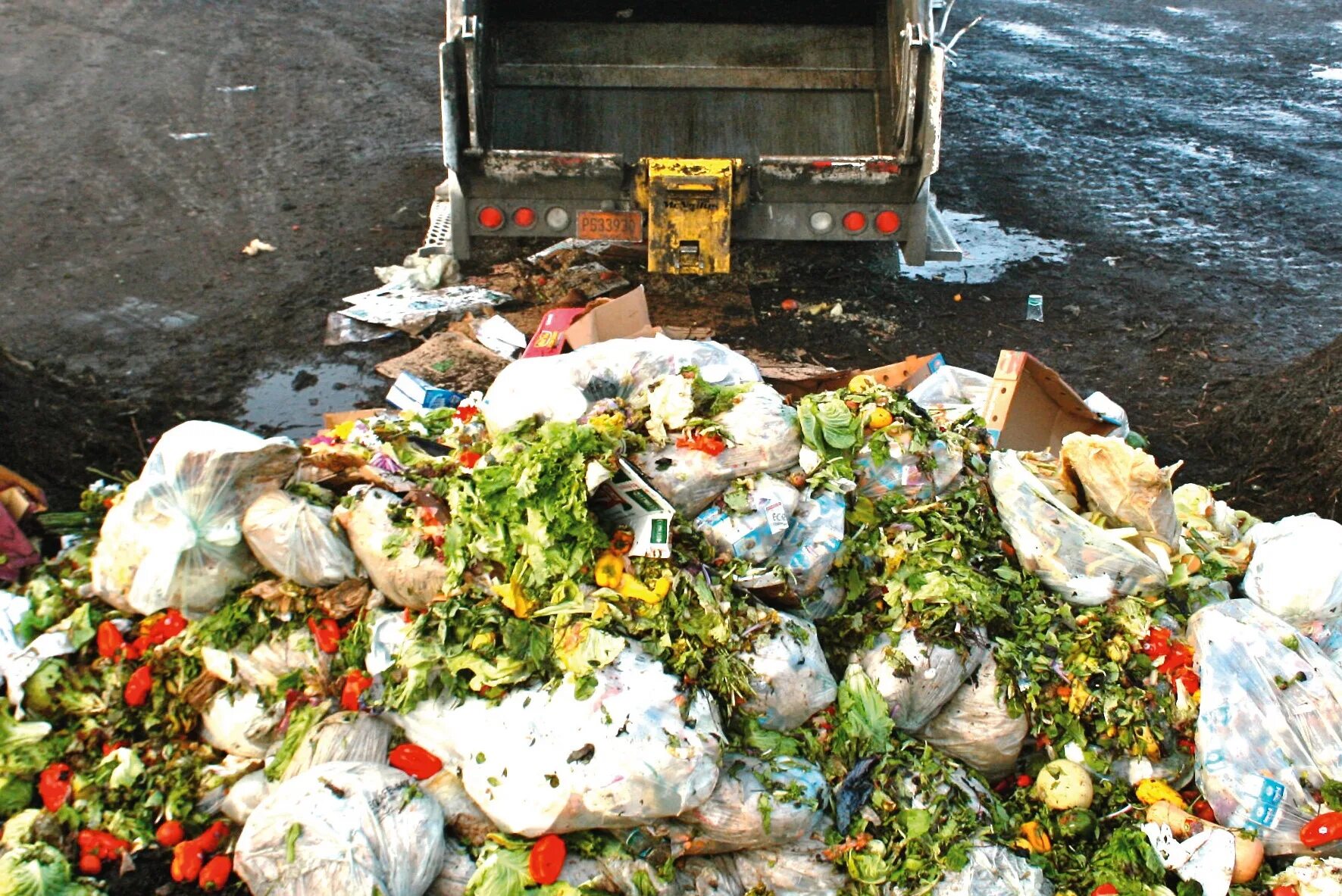 Органических отходов. ТБО пищевые отходы. Свалка пищевых отходов. Еда в мусорке. Пищевые отходы на полигоне.