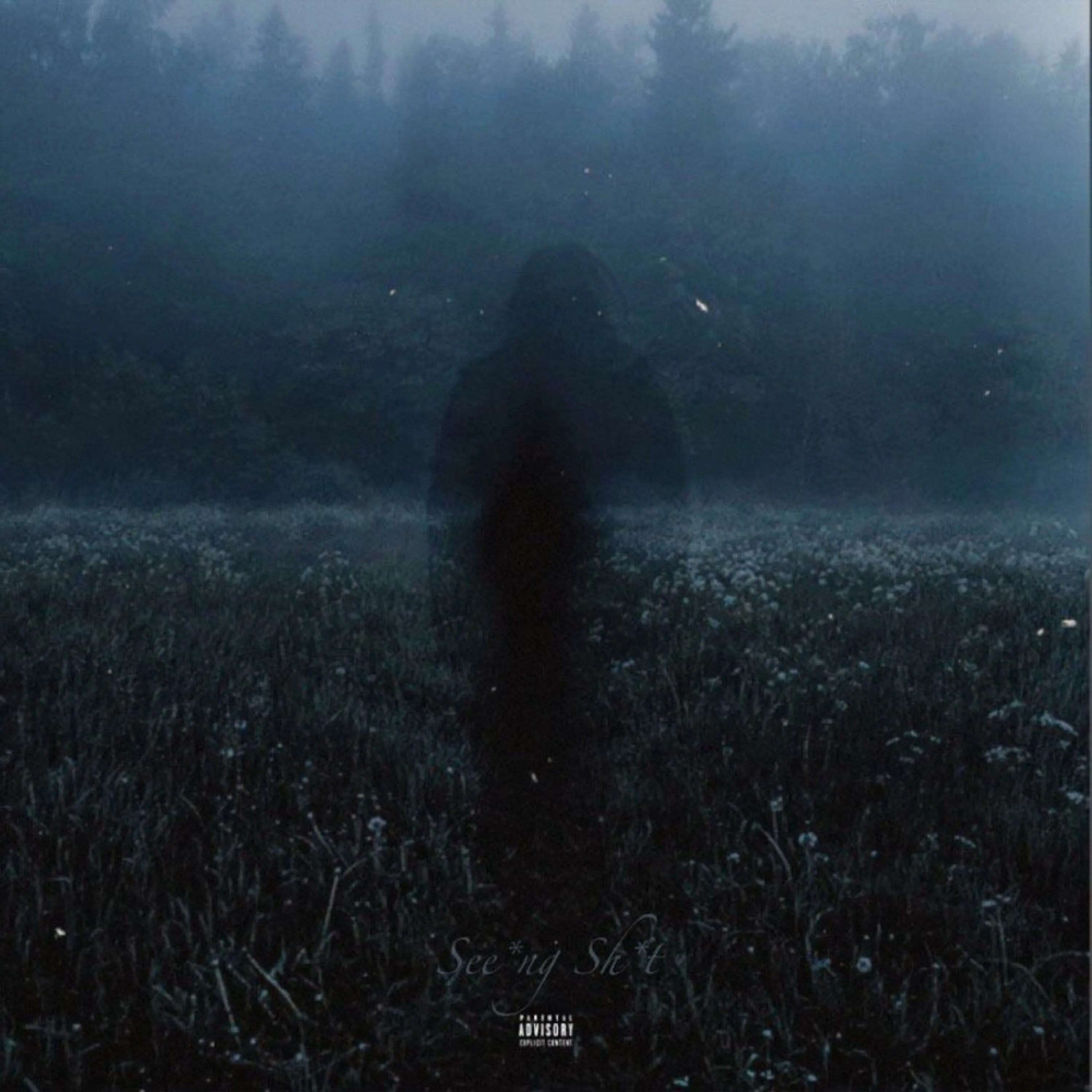 Человек в тумане. Человек в туманном лесу. Силуэт в тумане. Призрак в тумане. Размытая тень