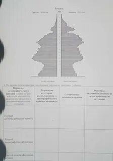 Практическая работа анализ половозрастной пирамиды географии