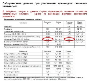 Асло норма