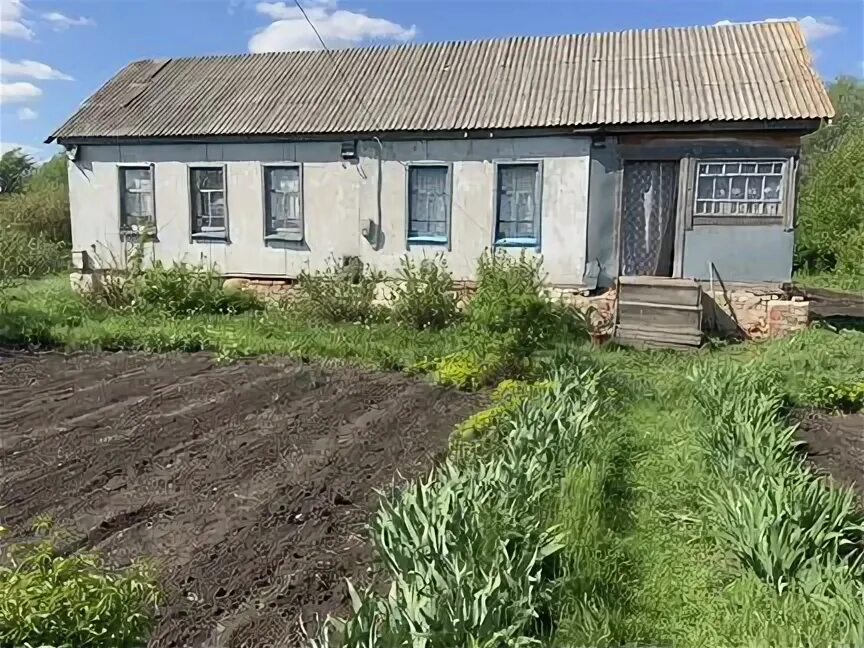 Авито токаревка тамбовская. Авито токаревка тамбовская. Токаревка. Троицкий росляй токаревский район. Авито токаревка тамбовская.