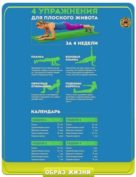 Плоский живот за 6 недель 1 уровень. Плоский живот за неделю упражнения. Меню для плоского живота. Планка для плоского живота. Диеты для плоского живота за неделю.