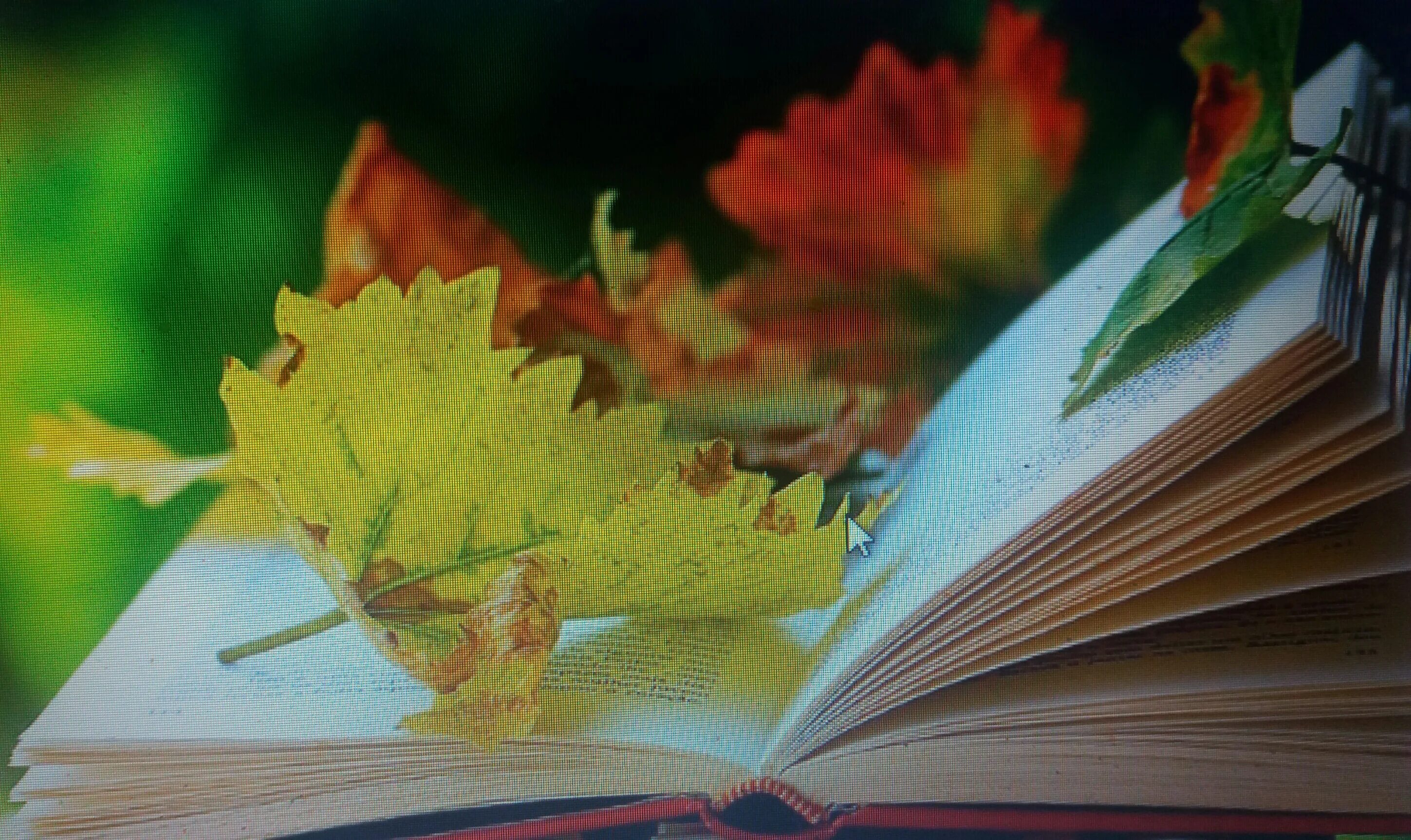 Подборка осенних книг. Книги про осень. осень книги фото. заставка на рабочий стол книги. книга мир осень.