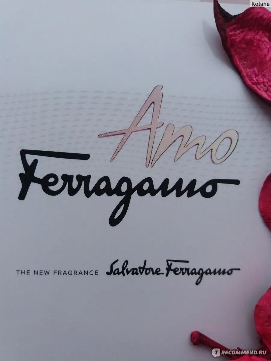 Amo ferragamo отзывы. Аромат amo Ferragamo.