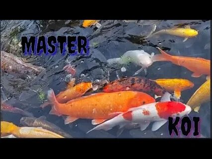 Кой мастер