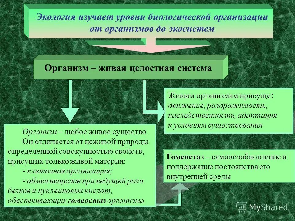Условия существования организма человека. Условия существования организма человека