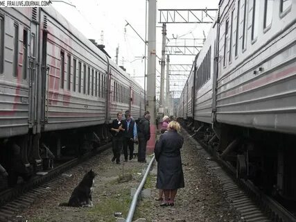 Поезд мурманск сегодня