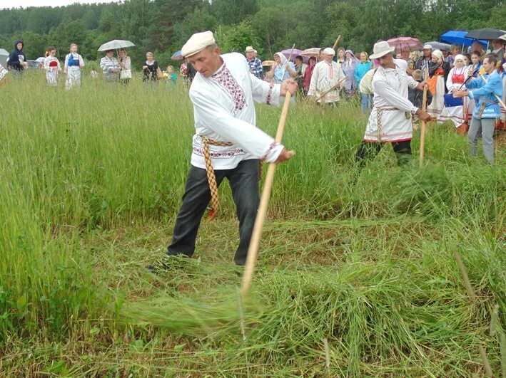 Три косаря. Косарь косит траву. Косарь травы. Косить траву косой. Человек косит.