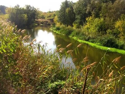 Река оскол белгородской