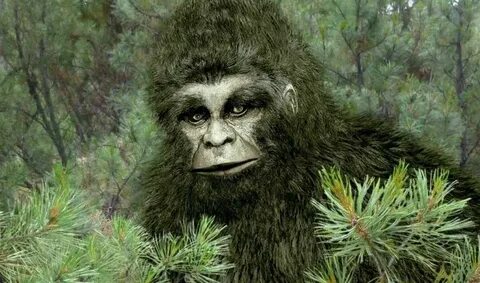Bigfoot
