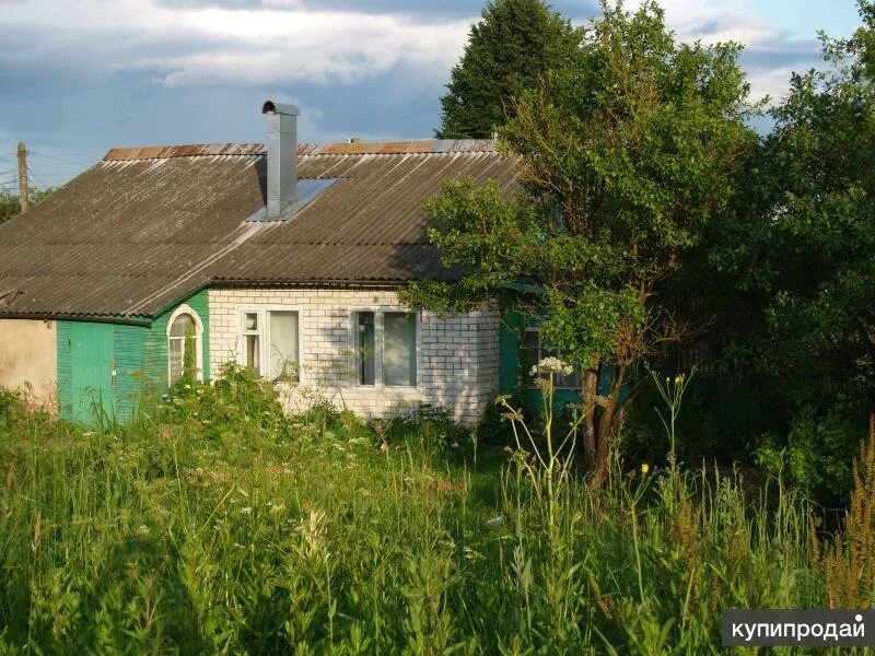 Детчино калужская область дома. Детчино Калужская область. Поселок Детчино Калужской области. Детчино ул Колхозная д24. Калужская область Малоярославецкий район СНТ Суходрев.