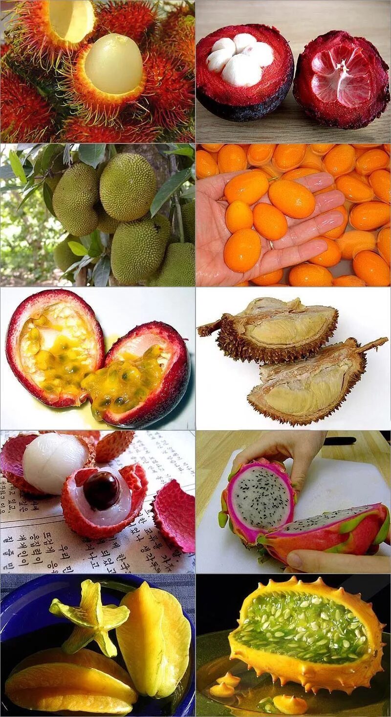 Какой фрукт не созревает в сочи манго. Дуриан питайя. Папайя рамбутан маракуйя. Драконий фрукт маракуйя. Маракуйя, личи и.
