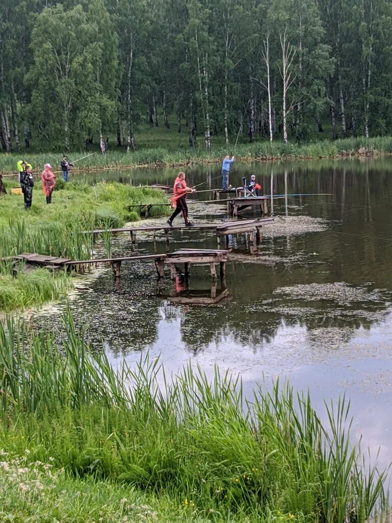 Шабры платная рыбалка екатеринбург. Шабры свердловская область. Шабры рыбалка. Шабровский пруд. Сепычевский пруд.