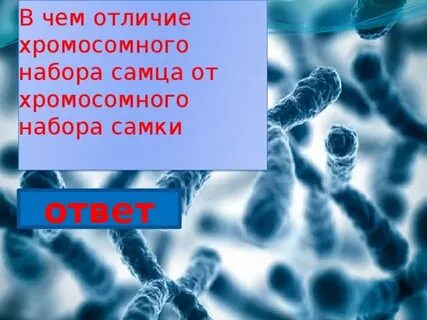 Отличие набора