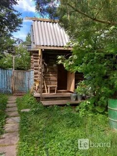 Снт культура