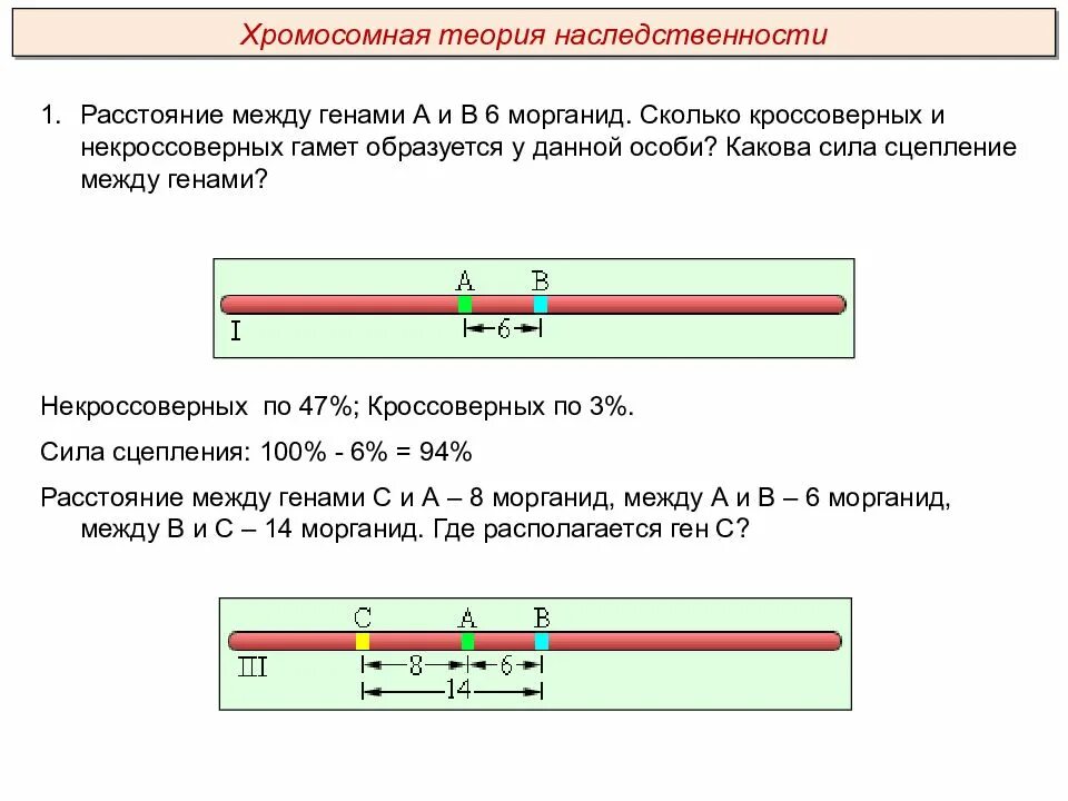 На расстоянии 7 м и. Сцепленное наследование расстояние между генами. Расстояние в морганидах между генами. Определить расстояние между генами. Как посчитать расстояние между генами.