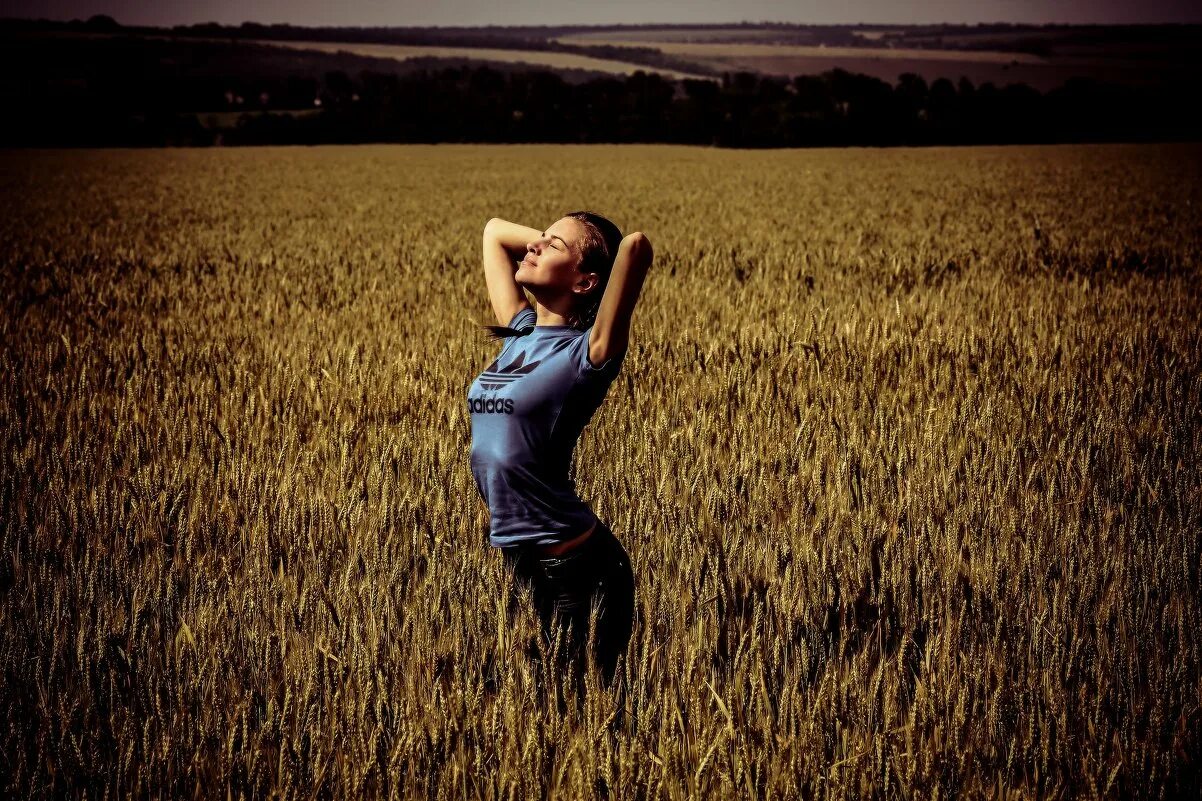 Я сегодня в поле чистом. Картинка девушка в пшеничном поле. Чистое поле Пшеницына.