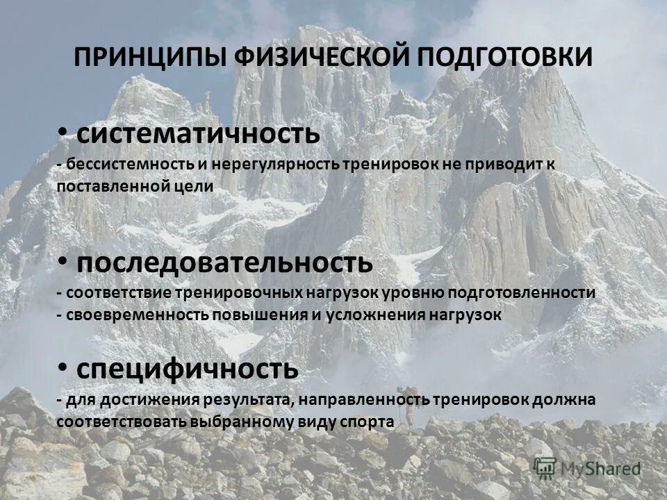 основные принципы спортивной тренировки. основные принципы физической подготовки. специальная физическая подготовка. принципы построения физической тренировки. основные принципы назначения физических упражнений.