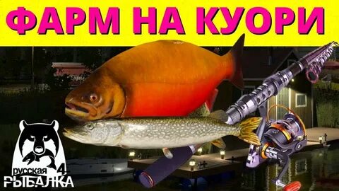Куори приманки