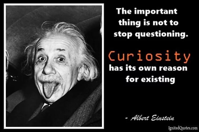 Important thing you learned. The important thing is not to stop questioning.