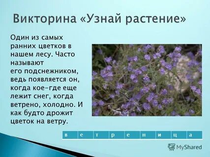 Будто дрожать