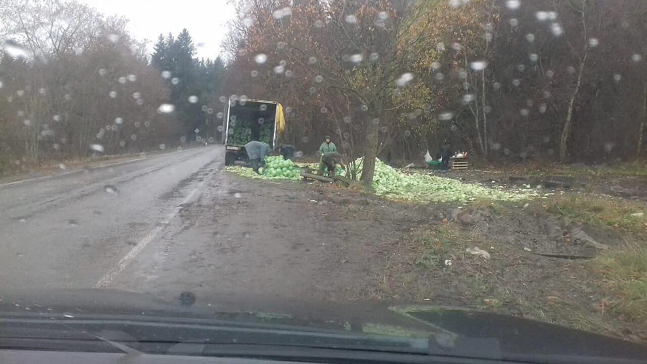 Гатчинское гп. Гатчинское гп. Гатчинское дрсу. Дрсу 2 гатчина. Д.