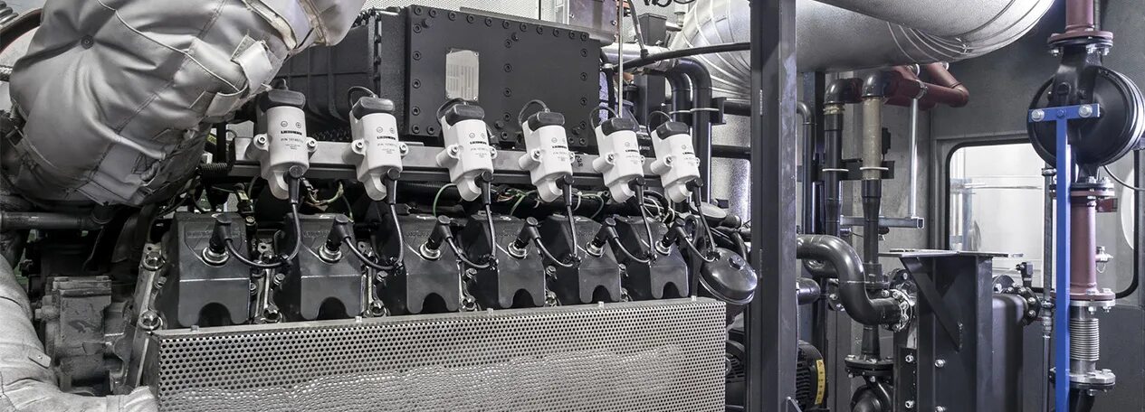 Natural gas engine. Natural gas engine
