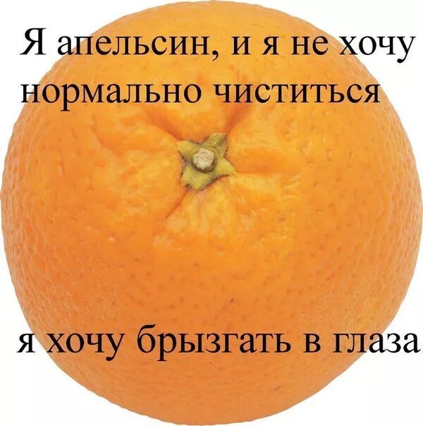 Апельсинки для бывшего читать полностью без сокращений. Смешные апельсинки. мемы про апельсин. хочу апельсин. шутки про апельсин.