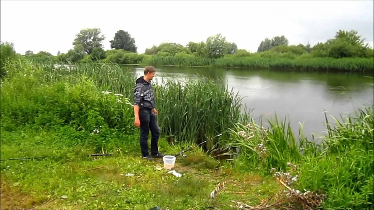 Кениг рыбалка калининград. Река Матросовка Калининградская область. Рыбалка река Матросовка Калининградская область. Матросовка (река). Матросовка река рыбалка.