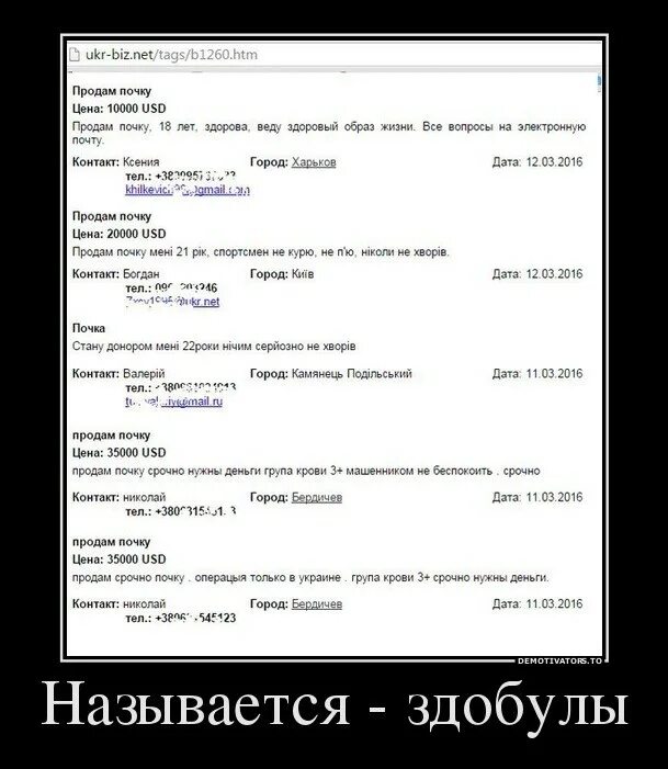 Срочно нужен донором почки. Продать почку. Сколько стоит продать почку. Сколько стоит почка.