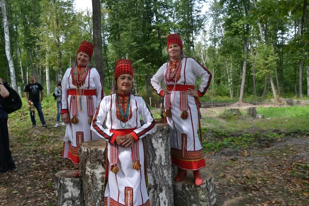 Погода пензенская городище на неделю. Золотаревское Городище Пенза. Пензенская Золотаревка достопримечательности. Пензенская Губерния Городище. Пенза историческое Городище.