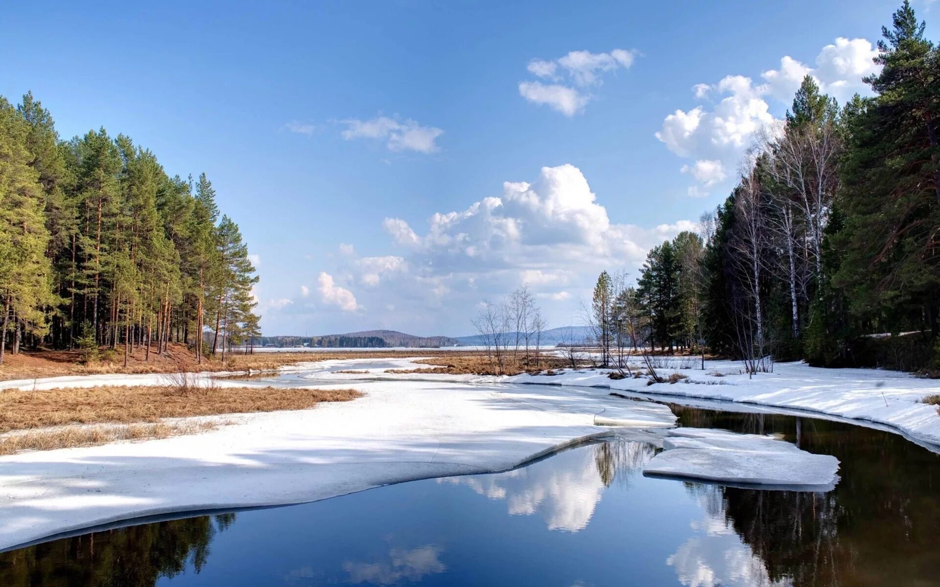 Весенняя природа. Spring is russia