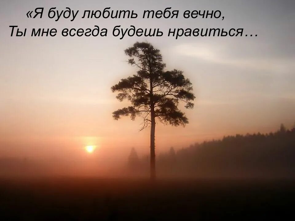 Я буду любить всегда музыка. Я буду любить тебя вечно. Я люблю тебя и буду любить вечно. Буду любить тебя всегда. Любить буду вечно.