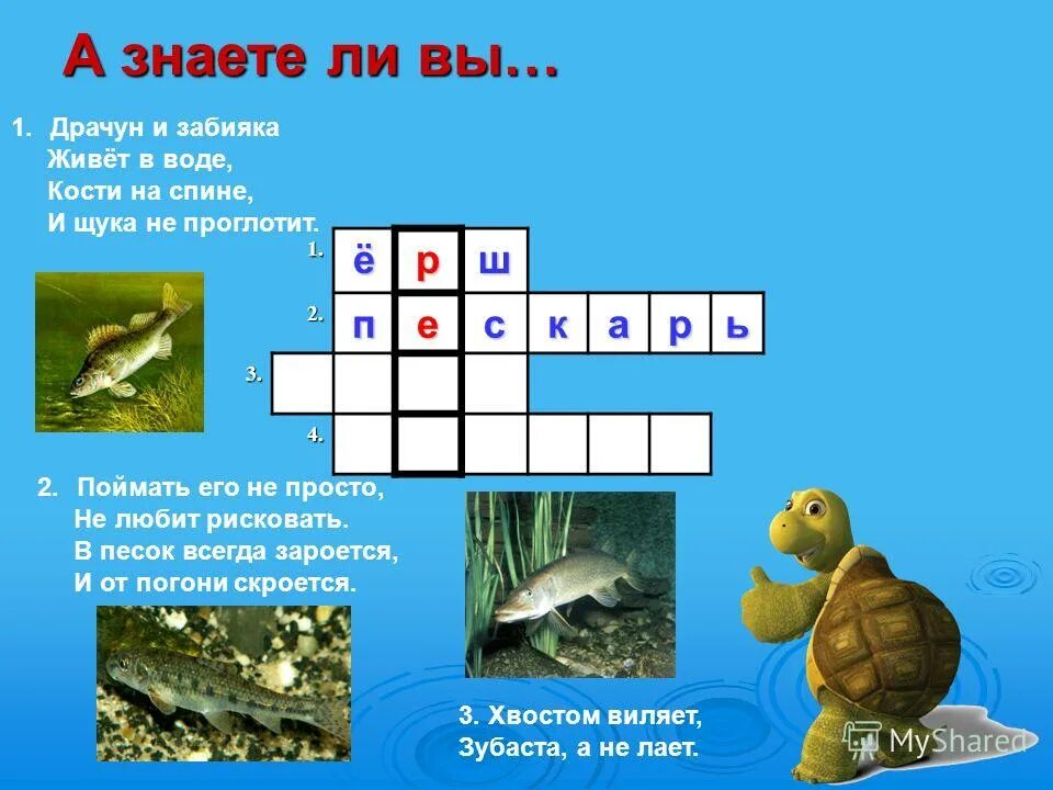 Загадка водоем. Кроссворд рыбы для детей. Загадки на тему водоемы. Кроссворд на тему рыбы. Кроссворд про рыб с ответами.