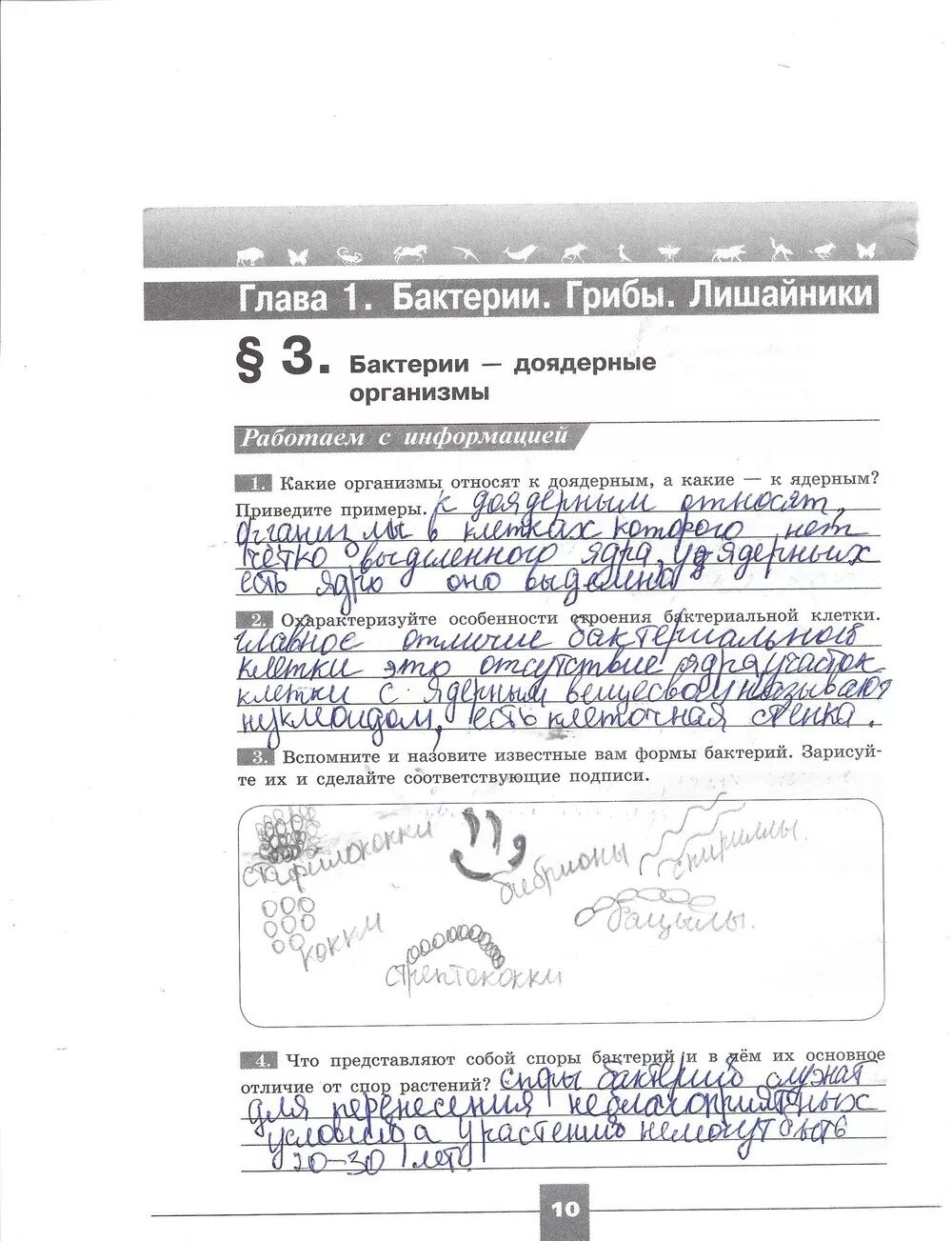 Тетрадка по биологии 7 класс пасечник. Тетрадка по биологии 7 класс пасечник