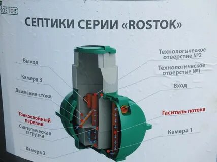 Септик росток