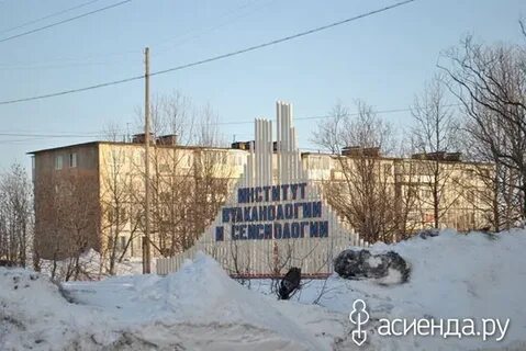 Институт сейсмологии
