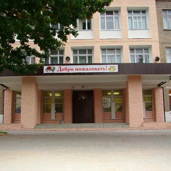 Город котельники школа номер 2. Котельники школа общеобразовательная. Котельниковская общеобразовательная школа 2 новая. Котельниковская общеобразовательная школа 2 новая. Школа 3 котельники.