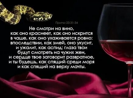 Вино есть жизнь