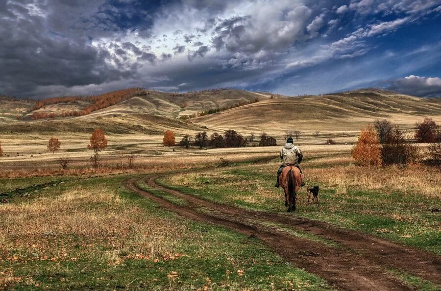 Country photos. Лошадь на дороге. Дом поле дорога лошадь. Лошадь идет по дороге. Подъездная дорога лошади.